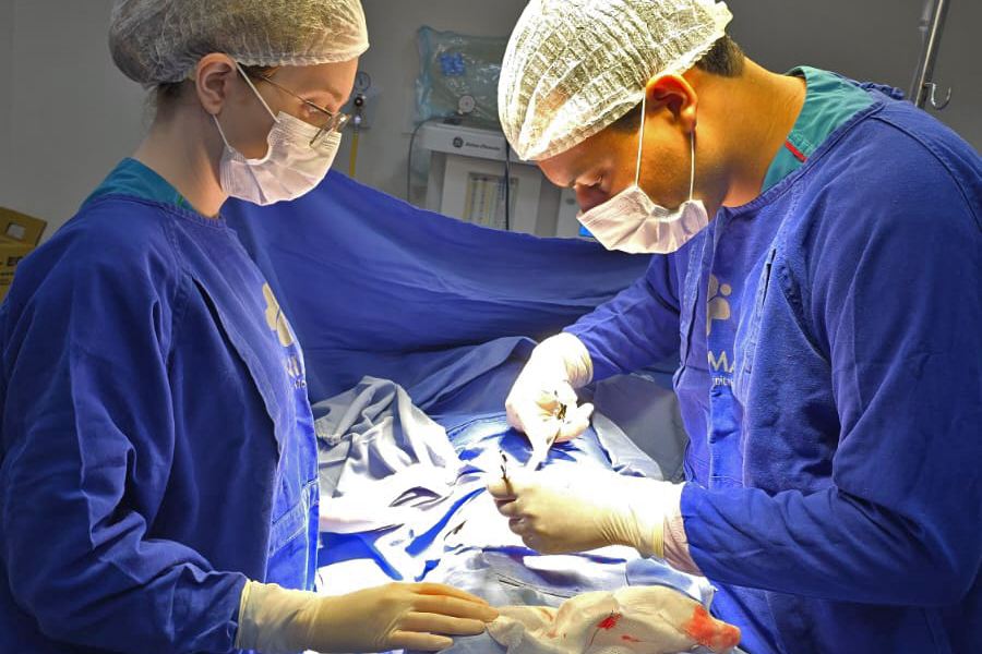 Residentes da CHS Aprendizagem em Atuação nos Hospitais de Goiás